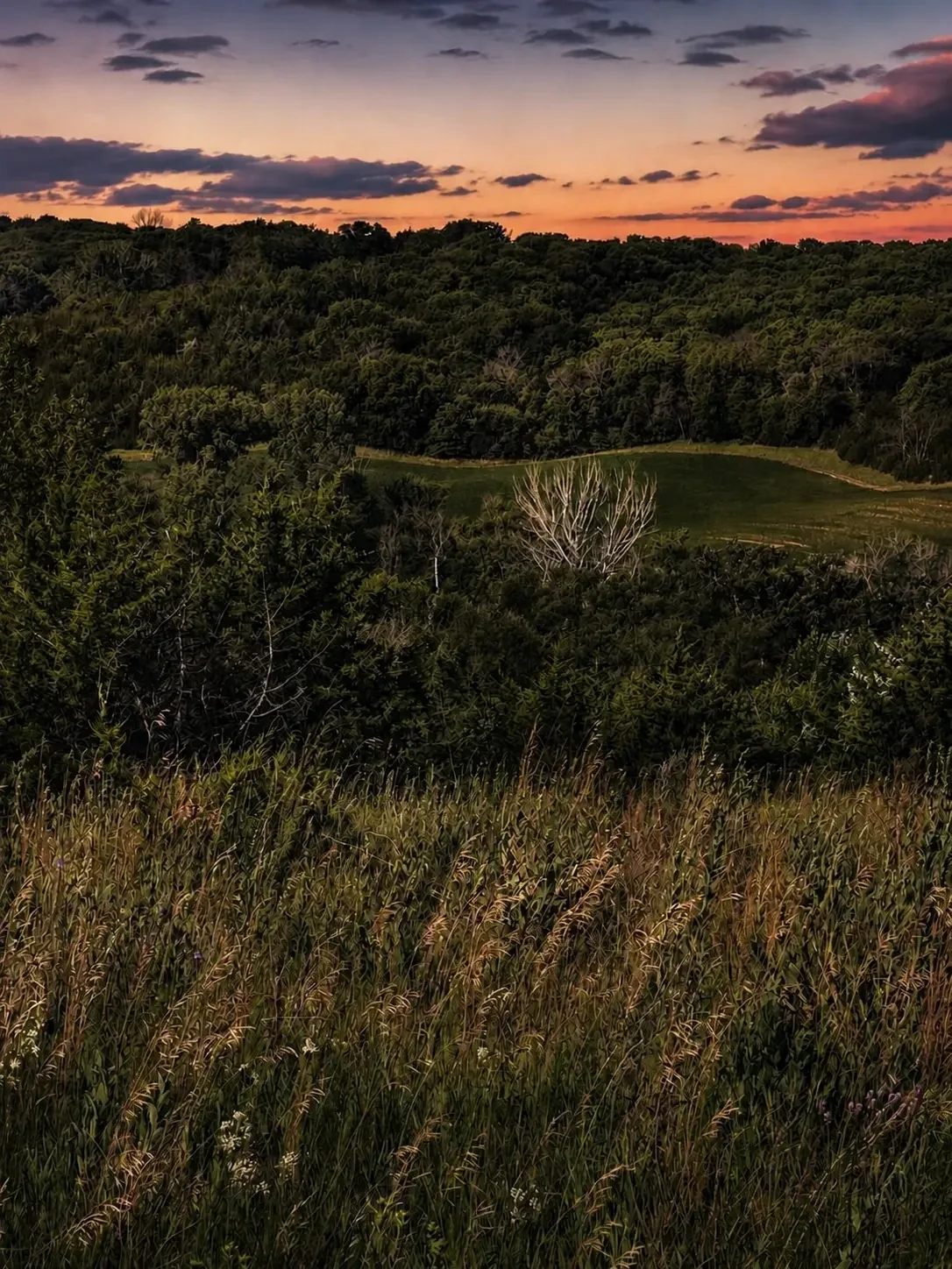 Tallgrass prairie and wooded ridges under a colourful twilight sky